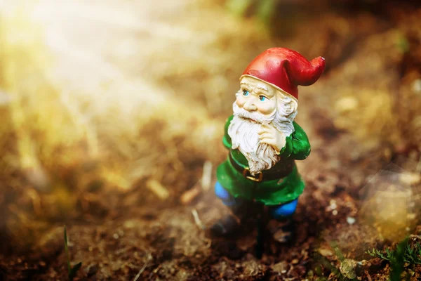 Dreamy garden dwarf — Stock Photo, Image