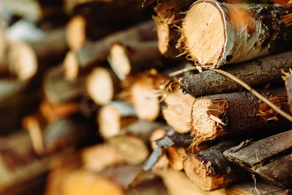 Vrstvené dřevo dřevo pro stavebnictví — Stock fotografie