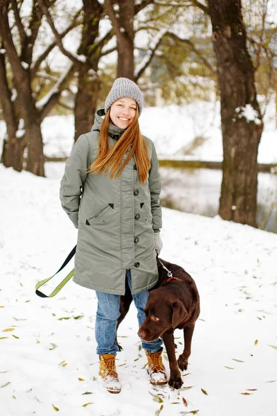 Kahverengi köpek Labrador Retriever ile gülümseyen genç bir kadın kışlık sıcak kıyafetiyle dışarıda kar parkında yürüyor, tüm vücuduyla kameraya bakıyor.