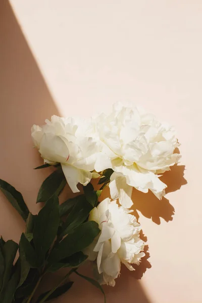 白い牡丹の花とパステルピンクの色の背景に緑の葉でフラットレイアウト — ストック写真