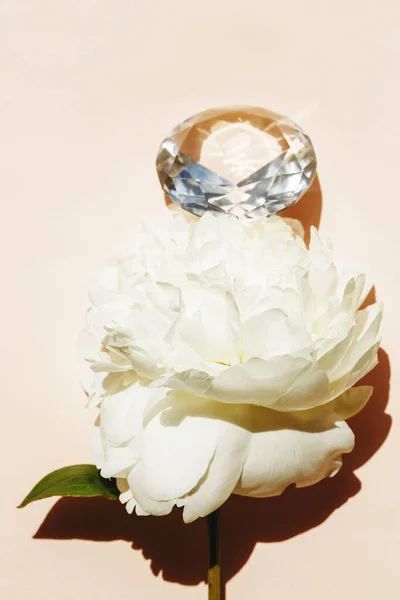 Nahaufnahme Der Weißen Pfingstrosenblume Mit Leuchtendem Diamanten Wunderschönes Weiblichkeits Konzept lizenzfreie Stockbilder