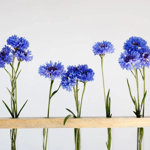 Fünf Blaue Hübsche Kornblumen Einem Holzrahmen Über Grauem Schlichtem Blumenschmuck Stockfoto