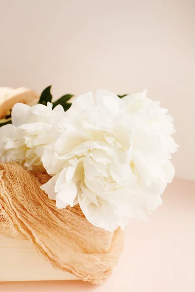 Composição Flor Com Peônias Brancas Sobre Fundo Cor Pêssego Cores — Fotografia de Stock