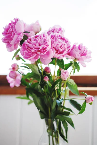 햇살이 내리쬐는 꽃병에 분홍색 흰색의 조랑말 꽃다발 로열티 프리 스톡 사진