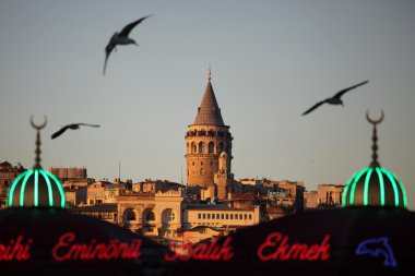Galata Tower, Istanbul Turkey clipart