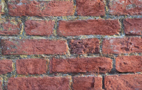 Rote Ziegelsteinwand Textur Hintergrund — Stockfoto