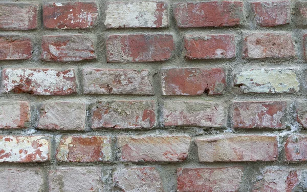 Brick wall texture background — Stock Photo, Image