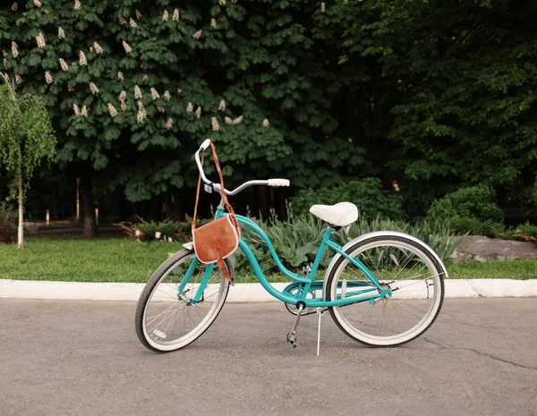 Винтажно-зеленый велосипед стоит, а в нем висит коричневый винтажный пакет, теплый, теплый. — стоковое фото