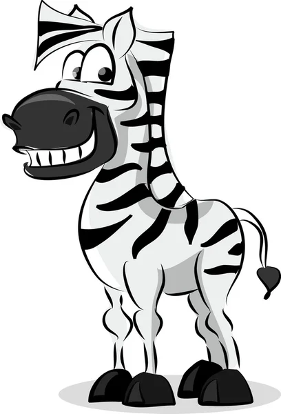 Cartoon zebra, the vector — Stock Vector