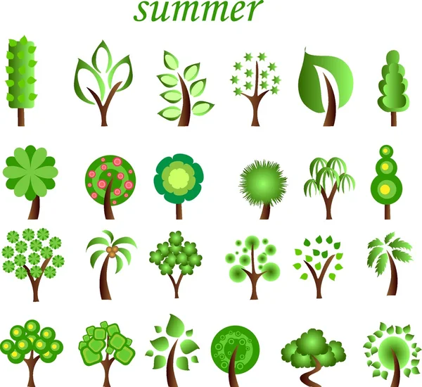 Set of summer trees, the vector — Stock Vector