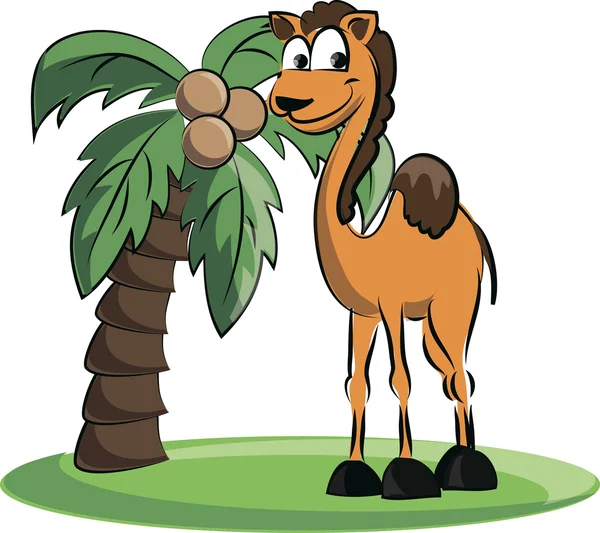 Camelo e uma palma — Vetor de Stock