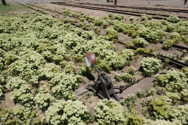 Binari ferroviari a Las Cuevas — Foto Stock