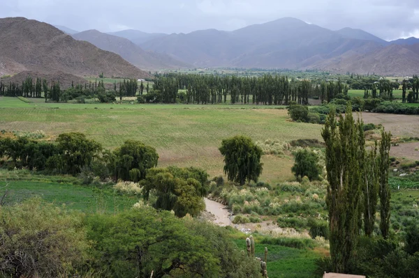 Rural landscape of Cachi — Stock Photo, Image
