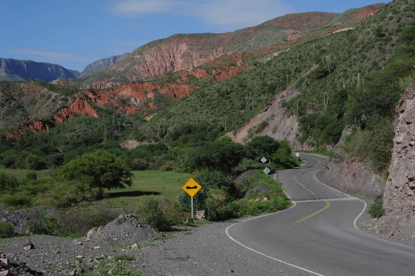 Escoipe Road'da — Stok fotoğraf