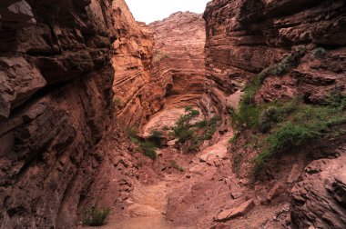 Garganta del diablo quebrada de cafayate Milli Parkı
