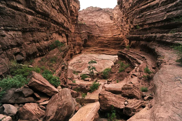 Garganta-дель-Diablo, а де Cafayate Національний парк — стокове фото