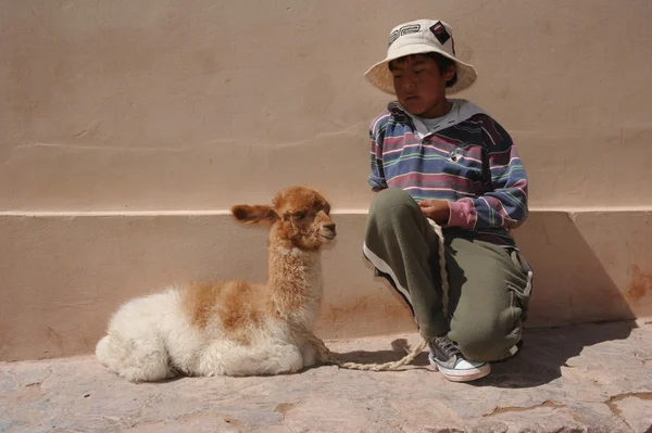 Chlapec s lama — Stock fotografie