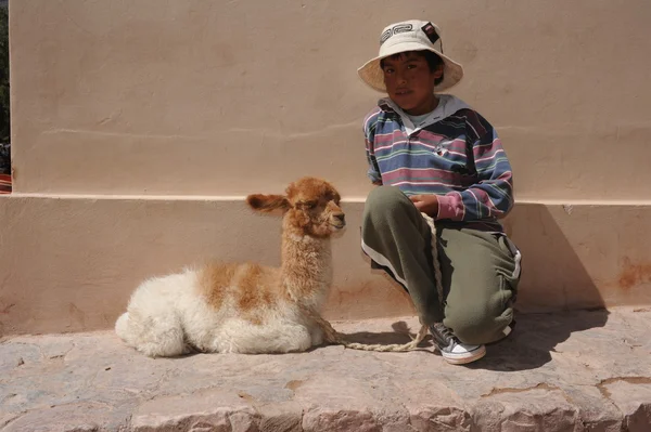 Chlapec s lama — Stock fotografie