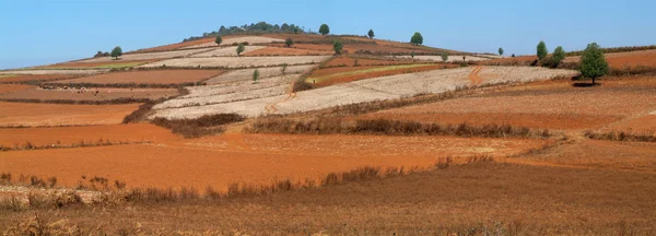 Agrocoltura sobre uma colina na Birmânia — Fotografia de Stock