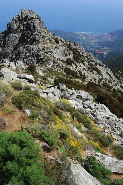 Góry capanne na wyspie elba — Zdjęcie stockowe