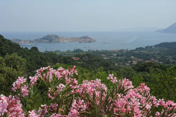 Bekijken van portoferraio op elba eiland — Stockfoto