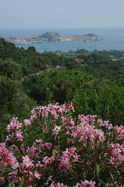 Vista en Portoferraio en la isla de Elba — Foto de Stock