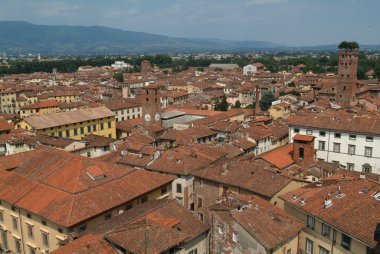 Lucca çatılarında toscany