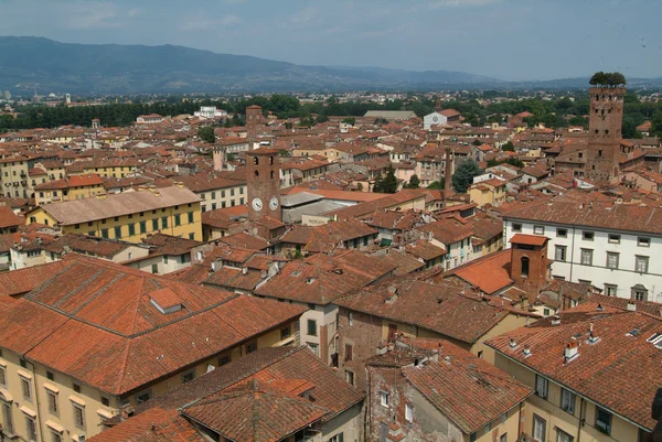 Roofs of Lucca on Toscany — Stock Photo, Image