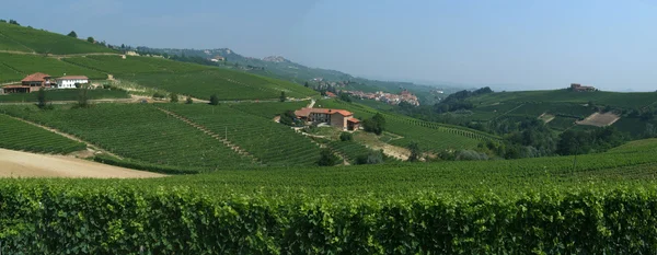 意大利人 langhe 巴罗洛葡萄酒的葡萄园 — 图库照片