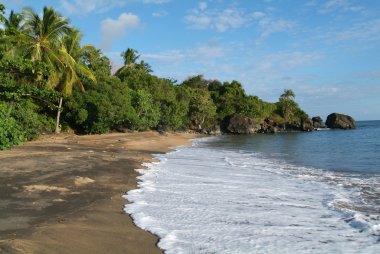 The beach of Boueni on Mayotte island clipart