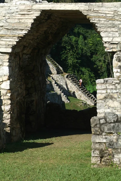 Palenque Arkeolojik Sit chiapas, Meksika üzerinde — Stok fotoğraf