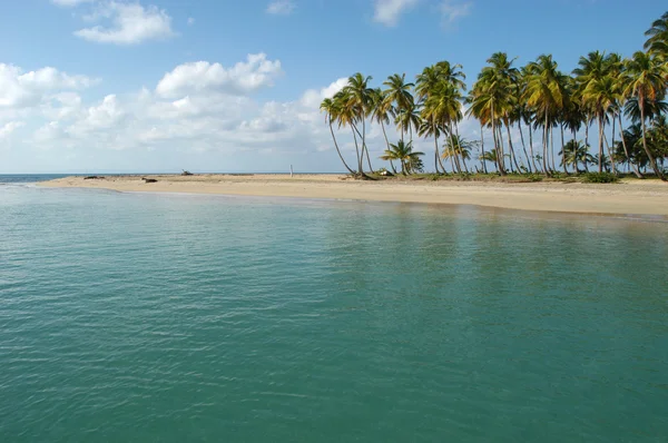 Doğum plajda punta el Rey costa esmeralda Dominik Cumhuriyeti — Stok fotoğraf