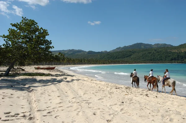 Promenade à cheval sur la plage de Playa Rincon — Photo