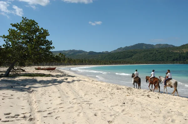 At binmek playa Rincon sahilde — Stok fotoğraf