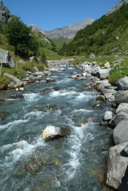 İsviçre Alpleri'nde Nehri