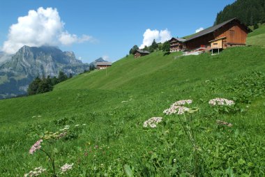 İsviçre üzerinde engelberg yakınındaki dağ evleri