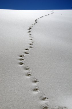 Footprints clipart