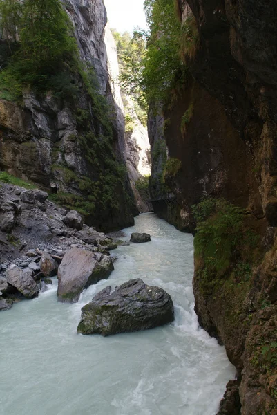 Floden aare canyon — Stockfoto