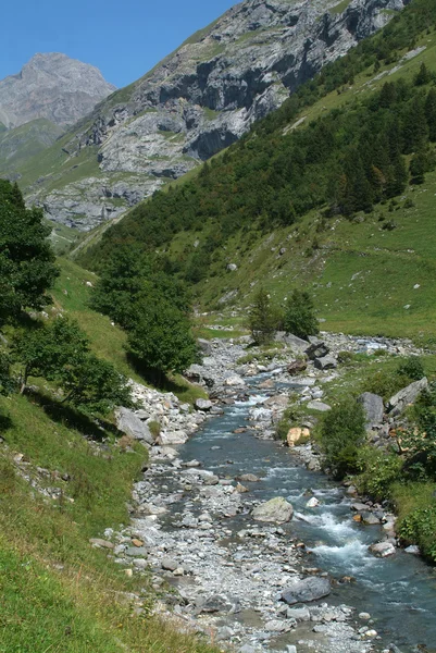 Река в швейцарских Альпах — стоковое фото