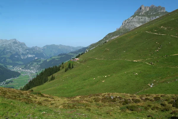 Vallei van engelberg op de Zwitserse Alpen — Stockfoto