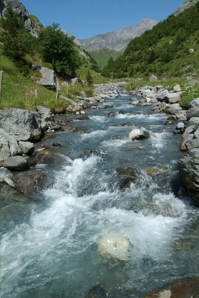 Fluss in den Schweizer Alpen — Stockfoto