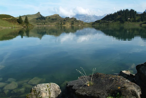 关于瑞士的阿尔卑斯山的湖 trubsee — 图库照片