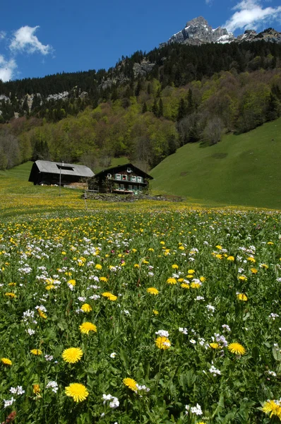 Alpejskie domy w pobliżu Engelbergu w Szwajcarii — Zdjęcie stockowe