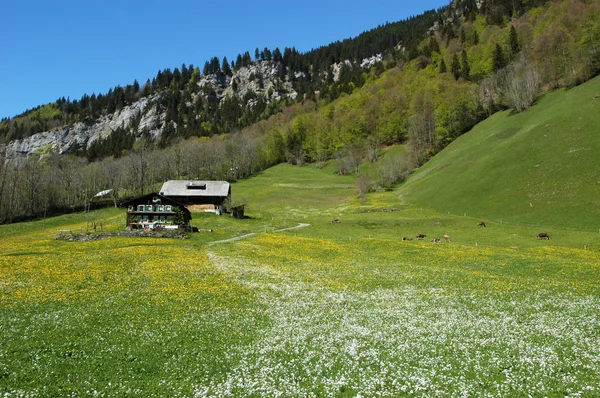 Αλπικό σπίτια κοντά στο engelberg στην Ελβετία — Φωτογραφία Αρχείου