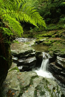 muggio Vadisi üzerinde swiss İtalyan Dağları üzerinde nehir breggia falls