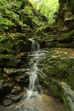 muggio Vadisi üzerinde swiss İtalyan Dağları üzerinde nehir breggia falls