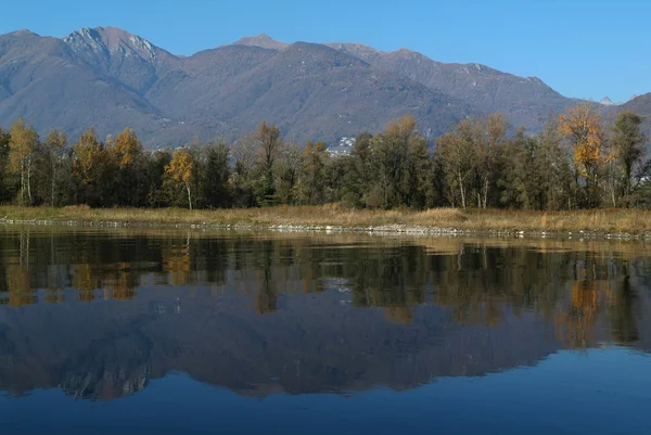 Río Ticino en la llanura de Magadino —  Fotos de Stock