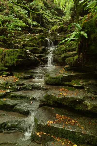 Le cascate del fiume Breggia sulla Valle del Muggio sulle montagne svizzere italiane — Foto Stock