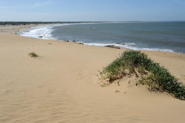 La playa de Valizas en la costa uruguaya —  Fotos de Stock