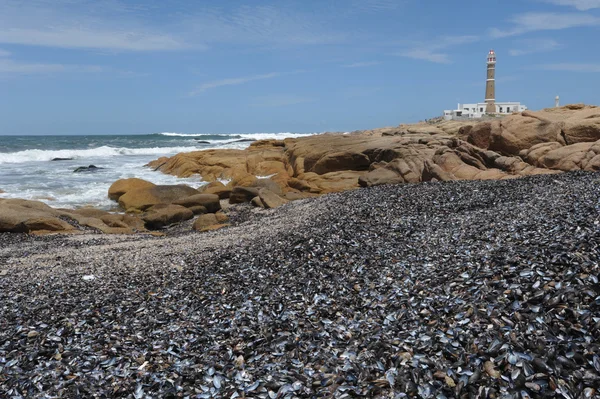 Φάρος του cabo polonio σχετικά με το σε το Ουρουγουανός ακτή — Φωτογραφία Αρχείου